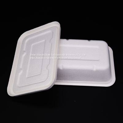 New Hot Disposable Biodegradable 500ML TRAY Bagasse Food Box Take Away Sugarcane Container photo-4