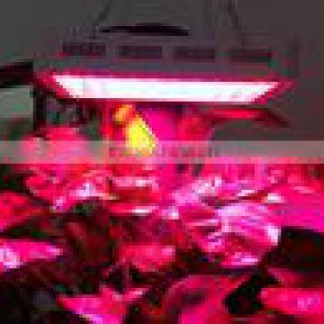 Best Full Spectrum LED GROW LIGHT 2016 photo-2