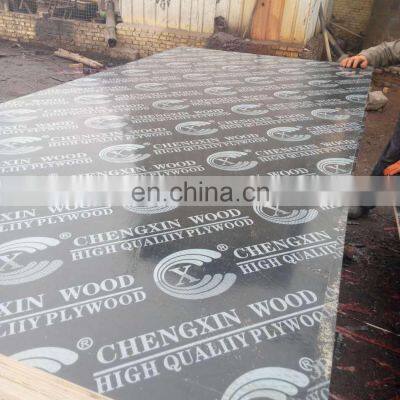 China Plywood Factory  Full Poplar Core Marinaplexx Film Faced Plywood Marine Plywood