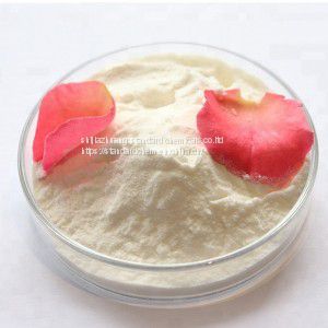 Best selling Competitive Prices Polydextrose CAS 68424-04-4 Food additive