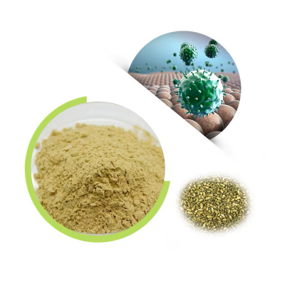 Food Grade Quercetin Dihydrate Powder Plant Extract For health products