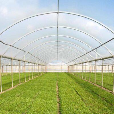 6 Mil Transparent UV Protection Greenhouse Film Vegetable Flower Protection Rain Proof Cover Poly Sheeting