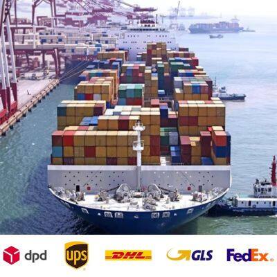 Comprehensive DDP Shipping International Logistics Services for Walmart TEMU and TikTok SHEIN Independent Website Sellers
