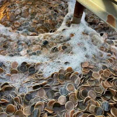 5500m2/m3 MBBR Bio Filter Floating Media Biochip 30 for Sewage Treatment