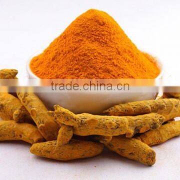 First Grade Turmeric Powder Manufacturer and Exporter