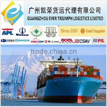 Door to door sea freight From Guangzhou/Shenzhen China to Rotterdam Netherlands