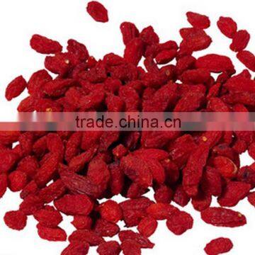 China Ningxia Wolf Berry photo-3