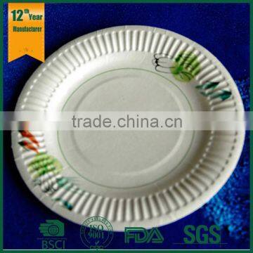 large paper plates,hign quality paper plate,china printing plate