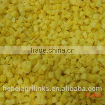 Chinese New Crop Frozen (IQF) Mango Dices photo-3