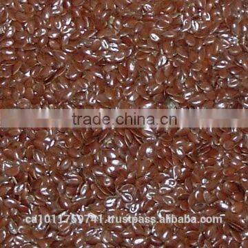 Flaxseed photo-2