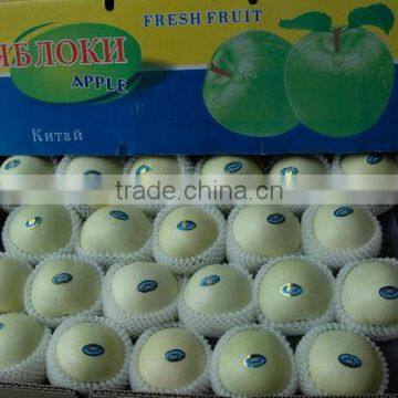 Gloden delicous apple fruit in china apple fruit