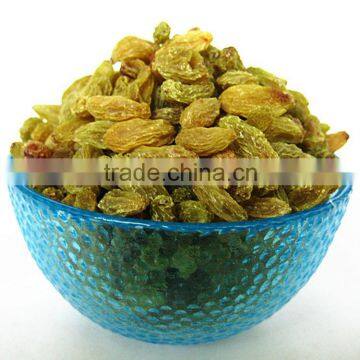 Sun Dried Raisin, New Crop 2015 photo-6