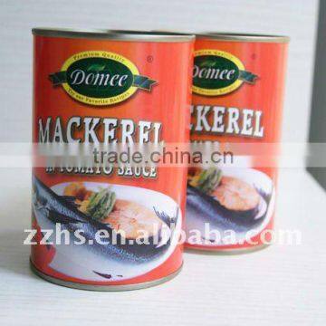 Canned Mackerel Fish In Tomato Sauce