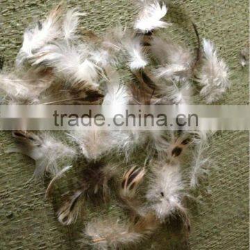 EN12934 Washed Grey Duck Feather For Sale