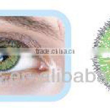 NEO Cosmo N34 wholesale korea colored contact lenses