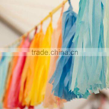 Colorful Party Decoration Tassel Paper Garland