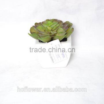 Indoor derocation Artificial succulent plants