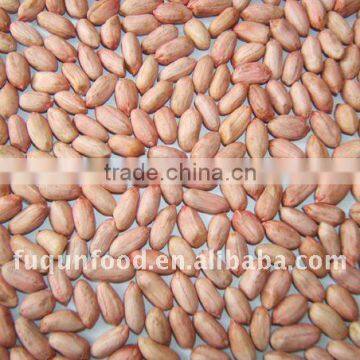 Groundnut kernels 24/28 Virginia type