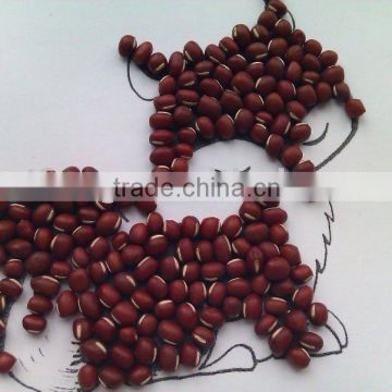 Chinese Small Red Bean/adzuki bean( 2011 crop, heilongjiang origin, hps)