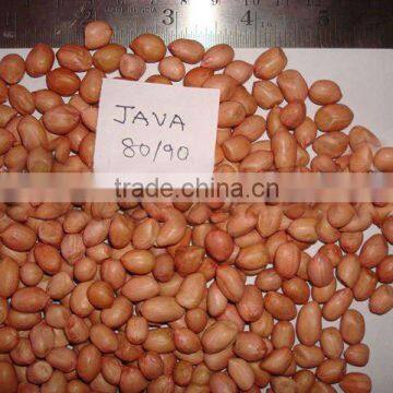 PEANUTS KERNEL JAVA photo-3