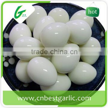 China supplier fresh quail eggs