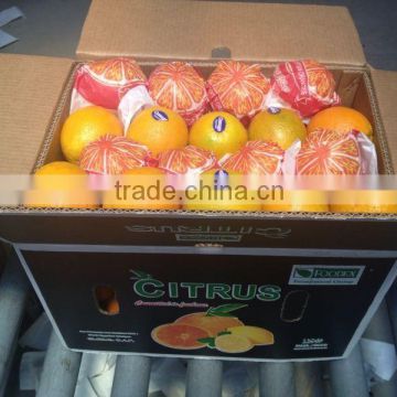 Navel Oranges (Seedless orange)