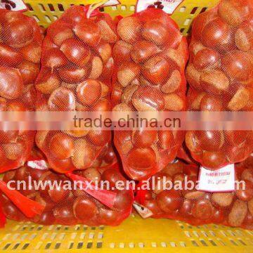 chestnut, fresh chinese chestnut, china chestnut for sale, dandong chestnut, laiwu wanxin