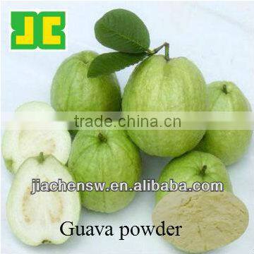 FRUIT POWDER SERIES--Psidium guajava Powder 10:1
