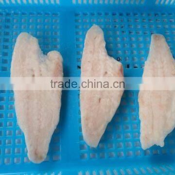 Frozen grouper fillet