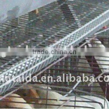 High quality design layer chicken cages for Kenya poultry farm ( full poultry equipment)