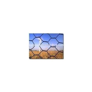 hexagonal wire mesh