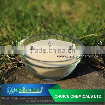 Food Grade Xanthan Gum Manufacturer photo-4