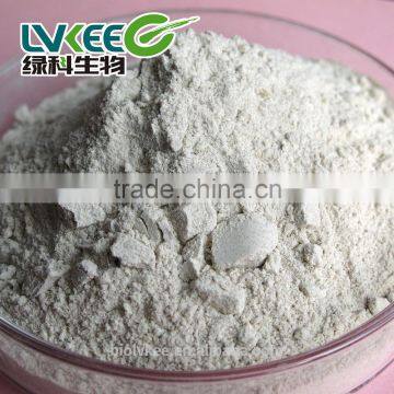 Lvkee Supply 100 Billion Cfu/g Bacillus Subtilis for Agriculture photo-2