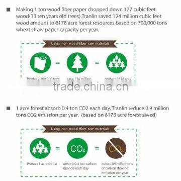 Health Facial Paper photo-4