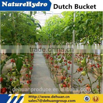 High Quality Hydroponics Dutch Buckets Hydroponics Manufacturer