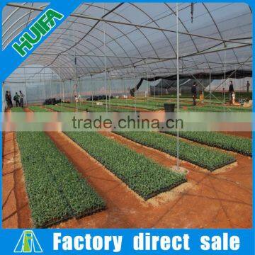 Large Multi-span Agricultural Greenhouse for Sale photo-5
