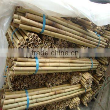 Garden Green Bamboo Poles Cheap photo-4