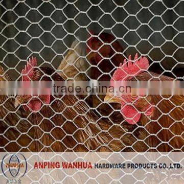 cheap chicken coops hexagonal mesh ( anping factory )