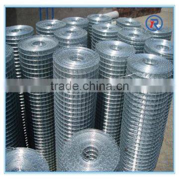Steel Welded Wire Mesh Roll for Sale photo-4