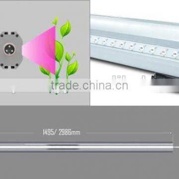 75w Bi-direction LED Grow light bar strawberry tomato cucumber in multiple color ratio