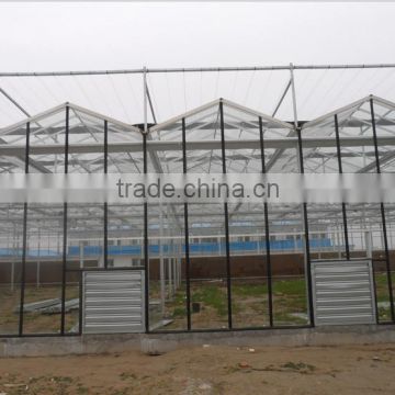 Flower with glass greenhouse