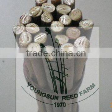 Good Quality Willow Sticks photo-2