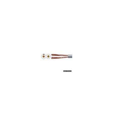 Parallel Speaker Cable