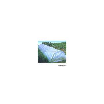 Sell Vegetable Greenhouse