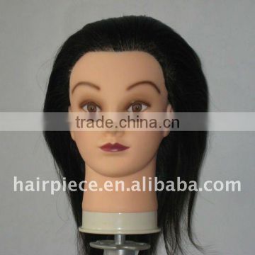 Beauty School Human Hair Trainning Head Salon Teaching Head Hair Styling Head