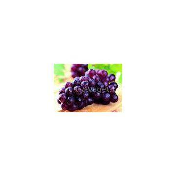 Oval Or Round Shape Sweet Fresh Red Grapes Seeded With Thick Peel