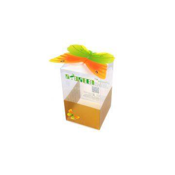 High Quality Customized Plastic Box With Competitive Price photo-3