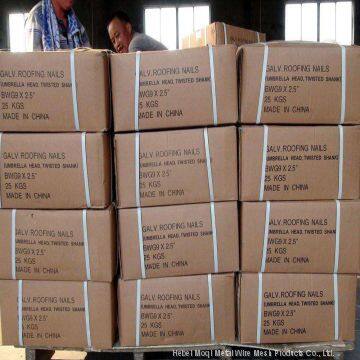 Galvanized Umbrella Head Roofing Nails photo-2