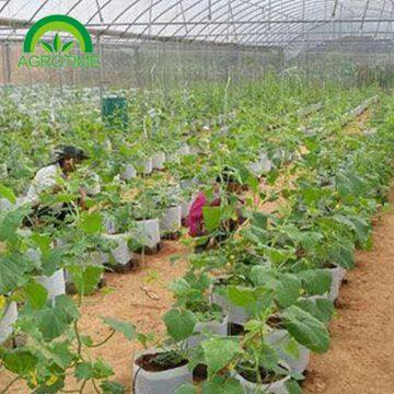 2019 High Strength Multispan Vegetables Greenhouse With Plastic Film for Sale photo-2