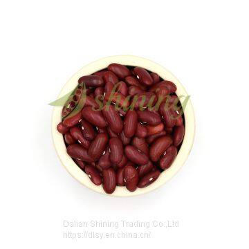 Premium Quality Dried Dark Red Kidney Beans hot sales